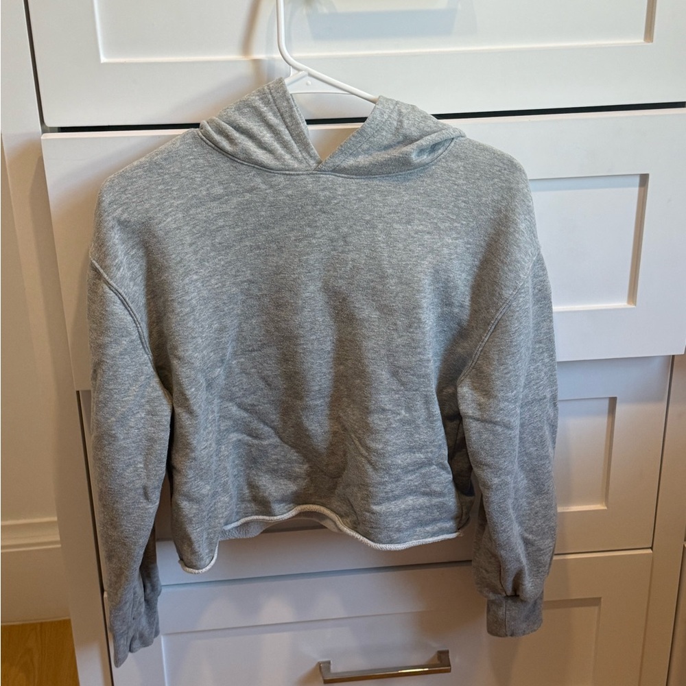 Gray Cute Cropped Hoodie
